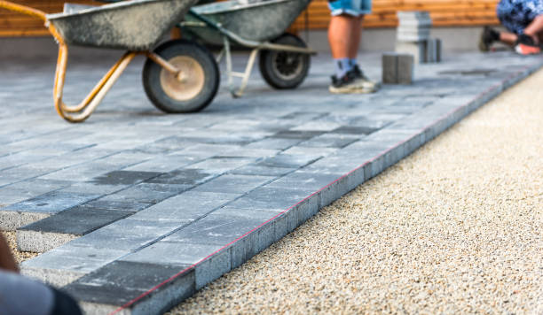 Best Driveway Repair Near Me  in St Charles, MN