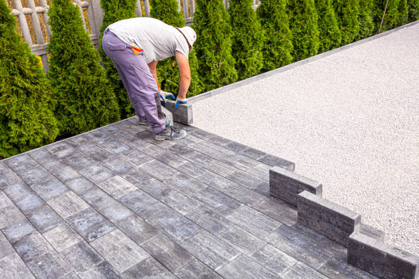 Best Driveway Repair Near Me  in St Charles, MN