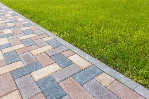 Best Decorative Driveway Pavers  in St Charles, MN